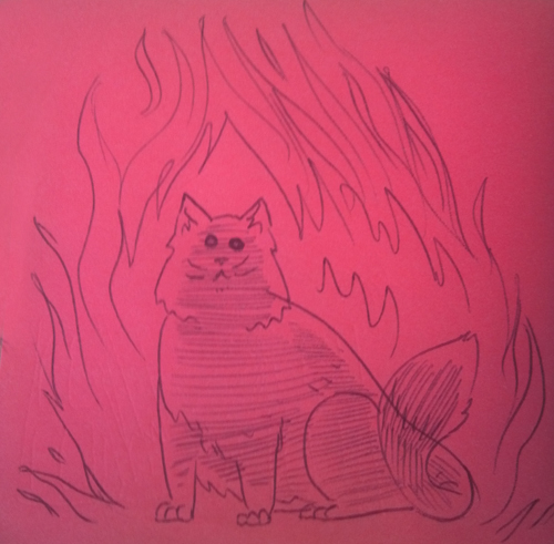 Fire Cat!