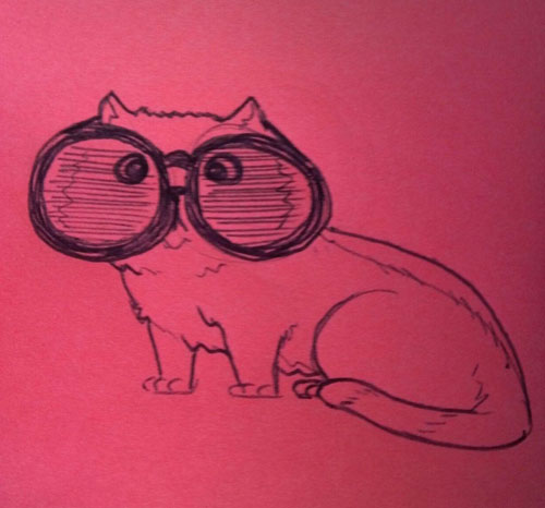 Sunglasses Cat!